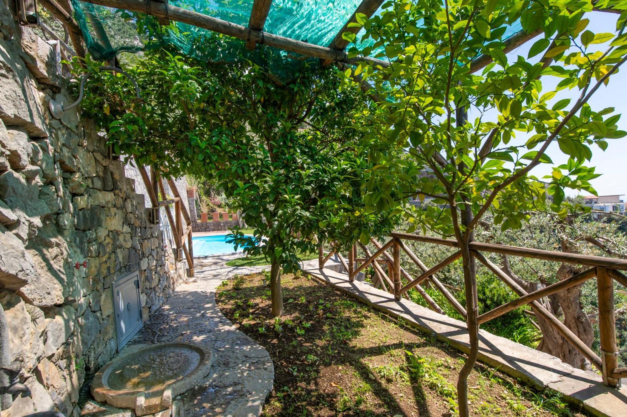Le Contrade By Sosore Holiday Homes -Amalfi Coast Фуроре Номер фото